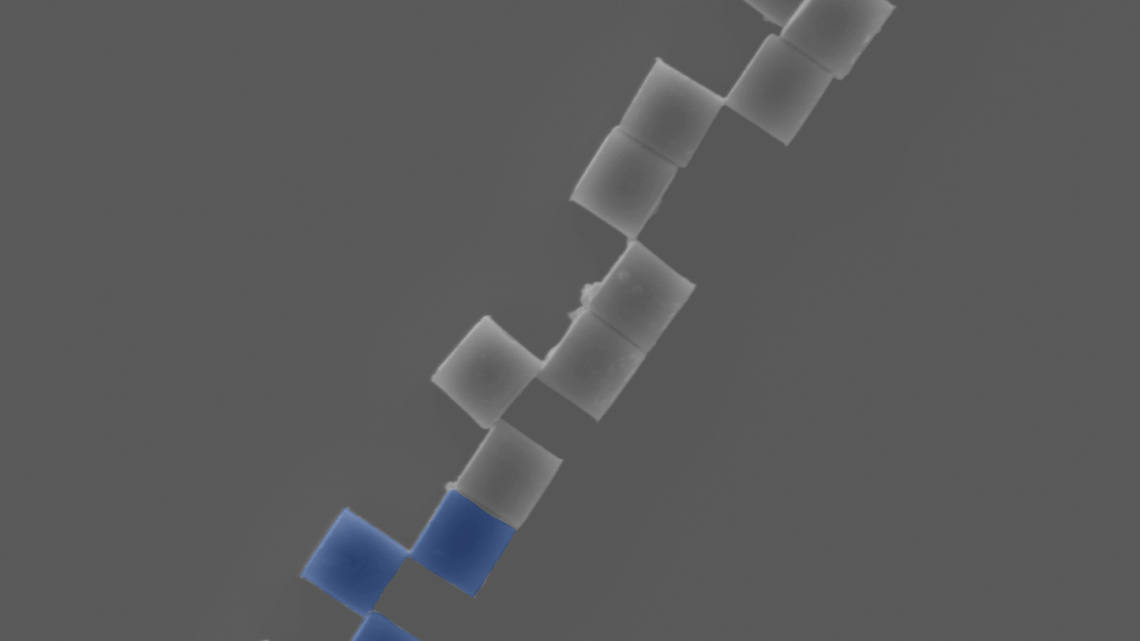 Nanoscale structure of square-shaped cells being connected by their corners in a linear fashion, with three being colored blue