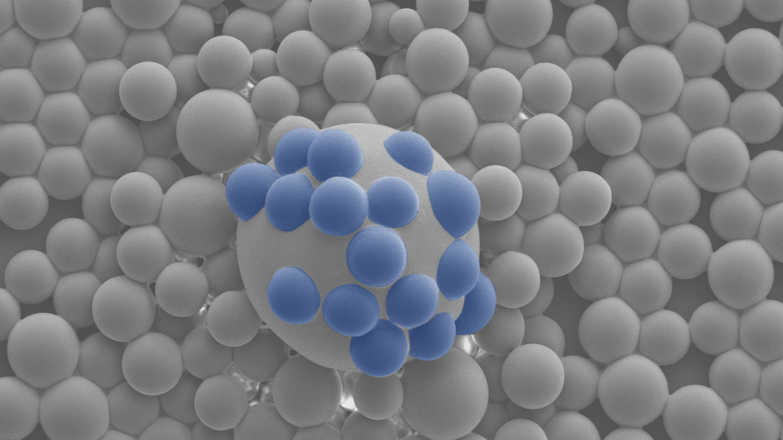 Nanoscale image of blue circular cells surrounding a larger circular particle