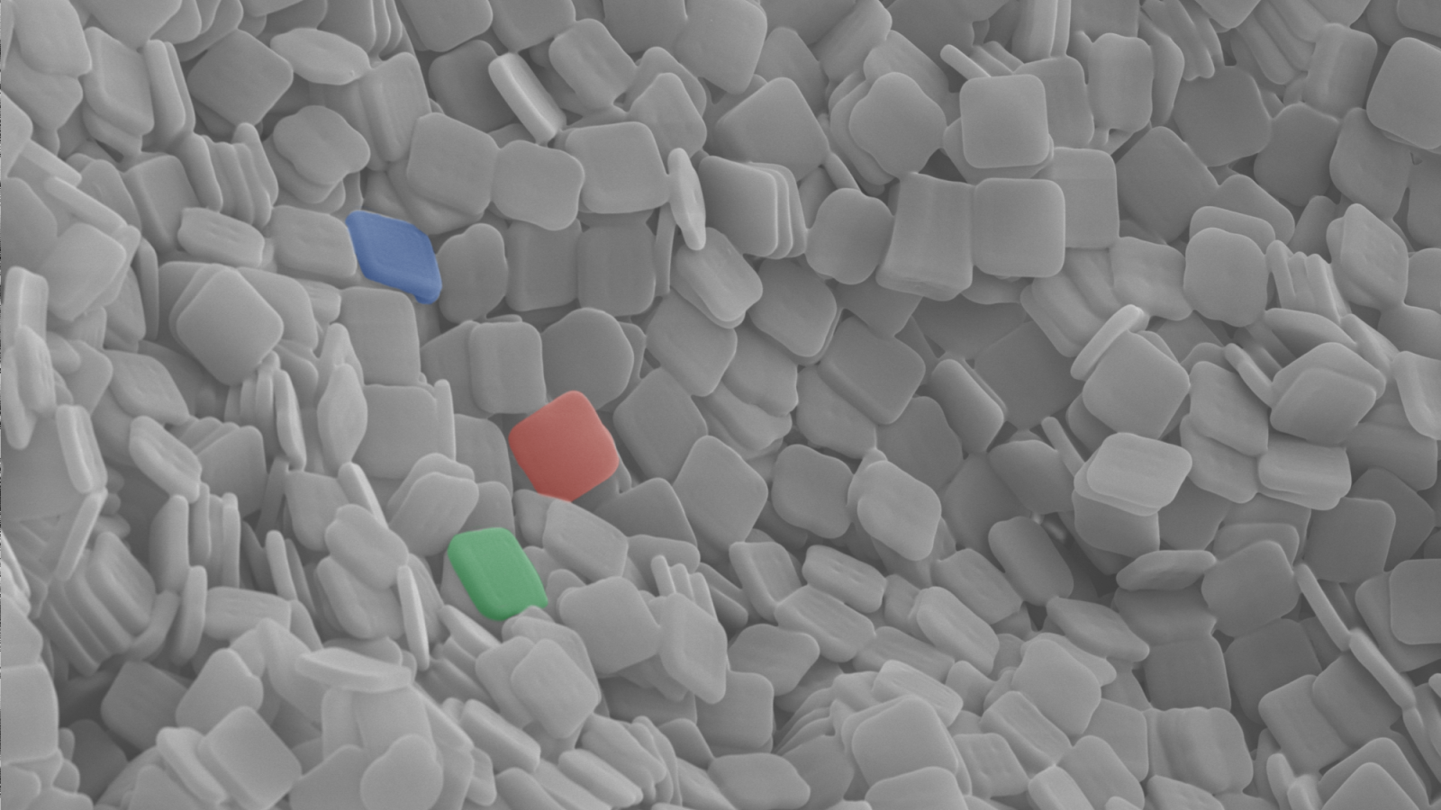 Nanoscale image of square-shaped cells with three of them being colored in blue, red, and green on the left side