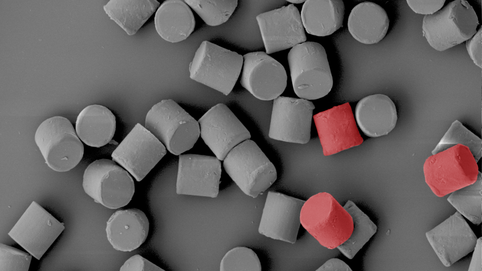 Nanoscale image of cylindrical cells, with three in the bottom right corner being colored red