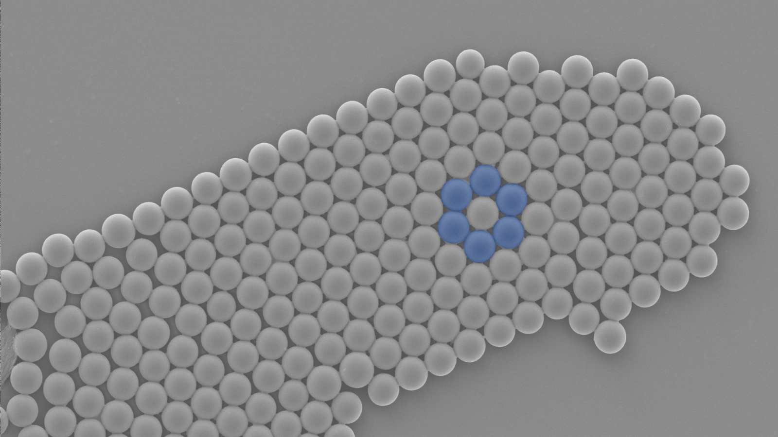 Nanoscale texture of circular cells grouped together, with a few blue cells forming a circle in the center