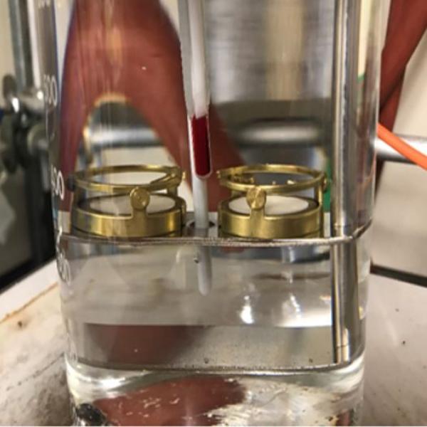 Penetration samples