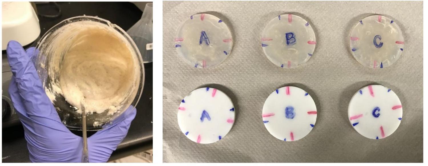 Agar samples