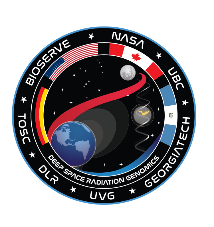 DSRG Patch