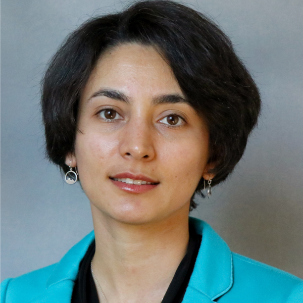 	Maryam	Shakiba,	Assistant Professor