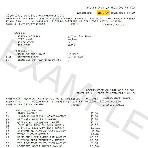 Example Tax Return Database View