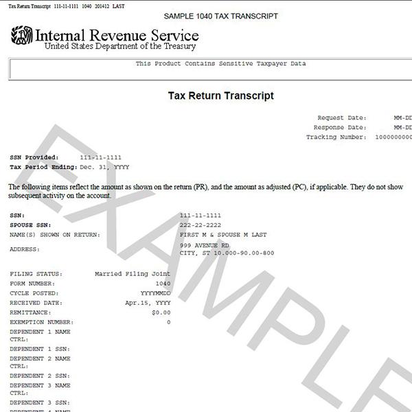 Example Tax Return Transcript