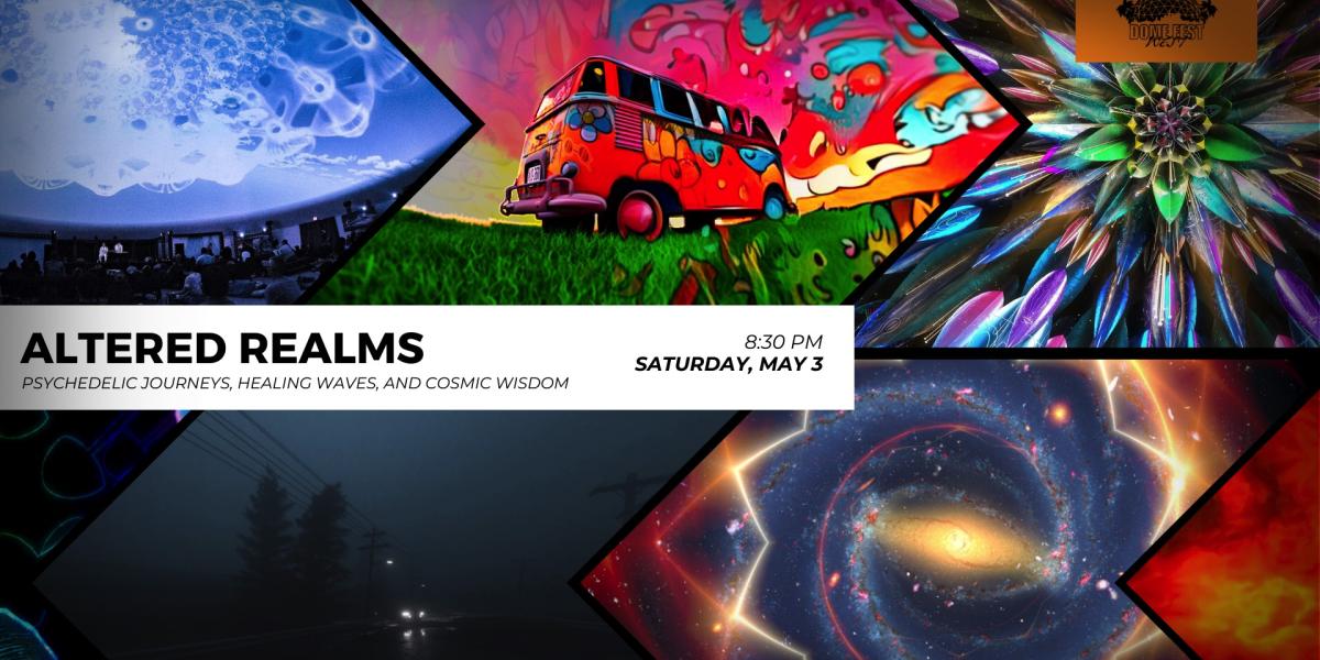 Dome Fest West collage of films in screening block