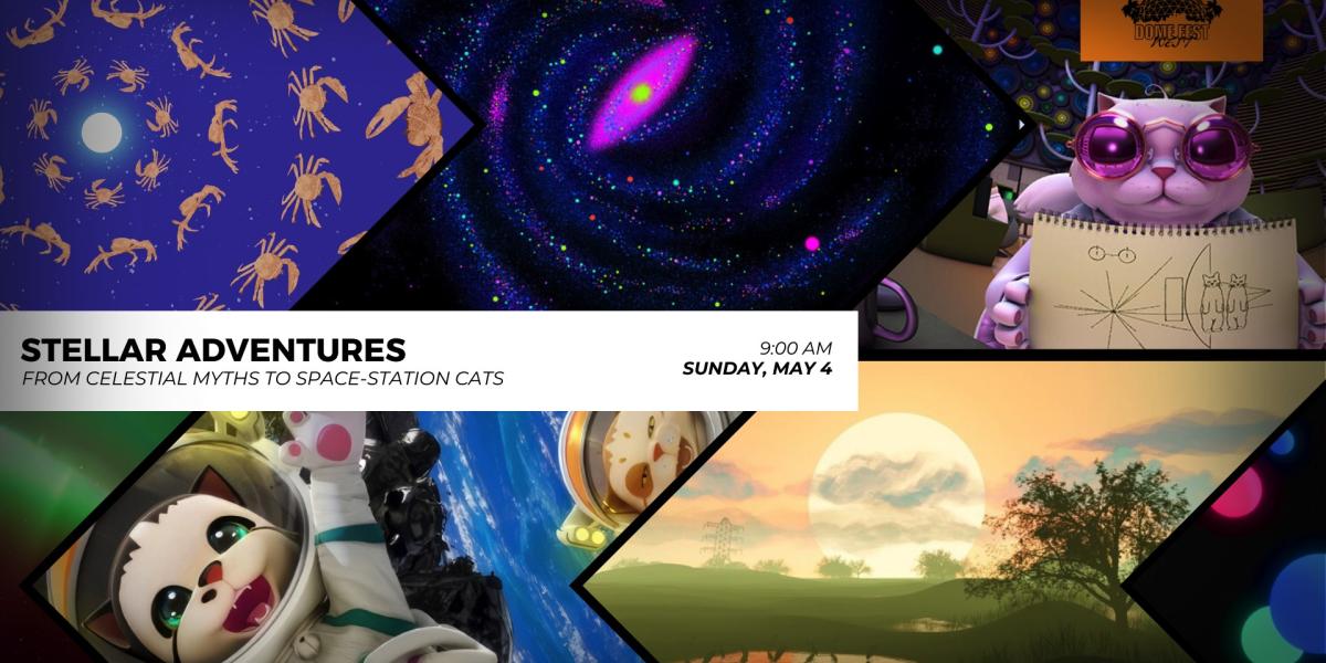 Dome Fest West collage of films in screening block
