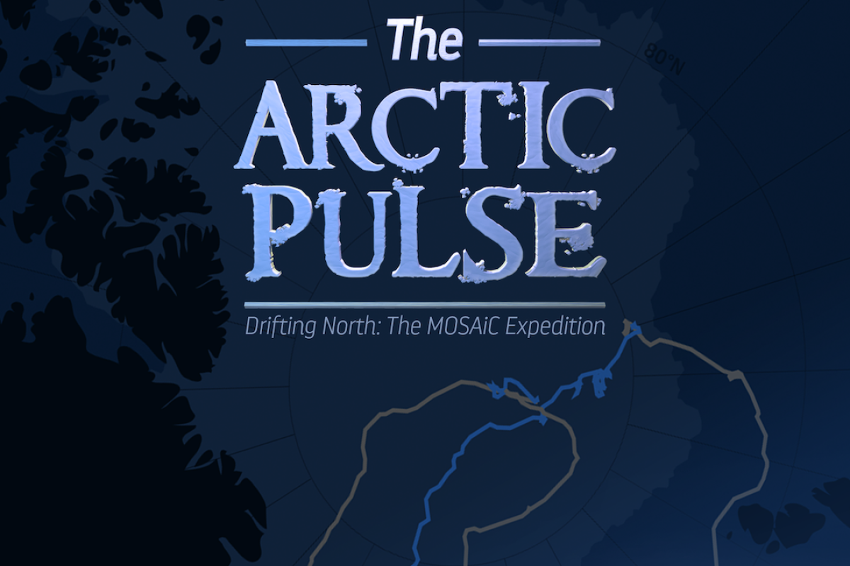 Blue map with text the arctic pulse