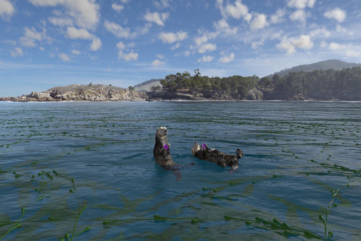 Still image from film with two otters in a sea of kelp with the california coastal mountains in the background