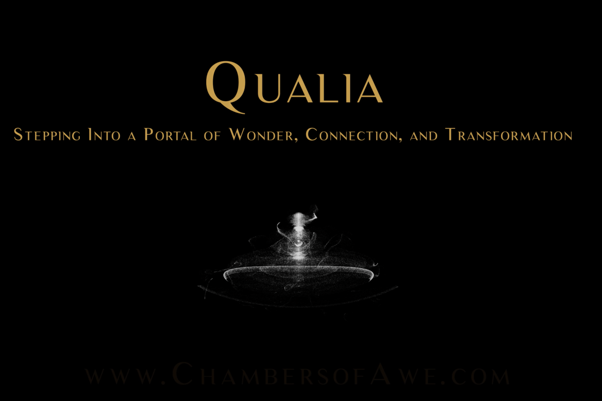 Black screen with swirl and text Qualia