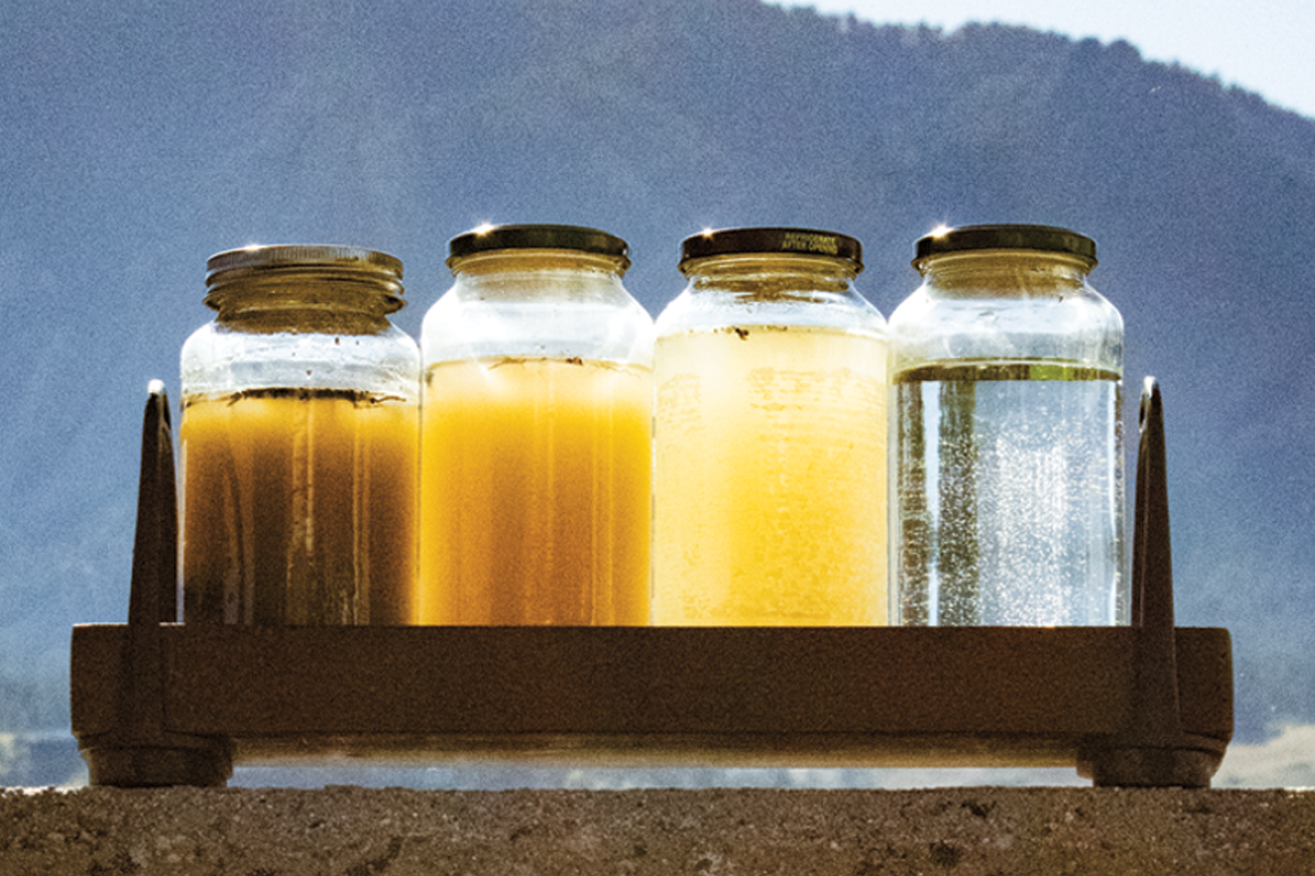 Four jars in a gradient full of dirty water