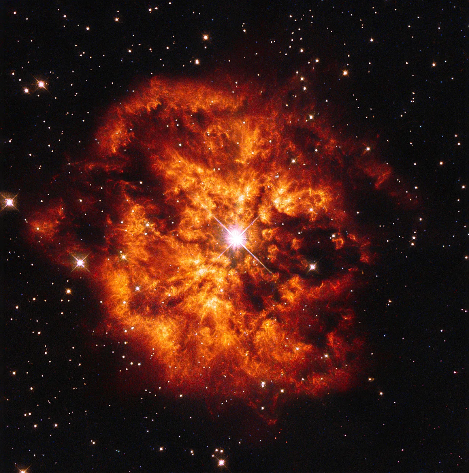 October 31, 2024 The star WR 124 lights up a brilliant, tangerine-colored nebula in this Hubble image. Photo credit: ESA/Hubble & NASA