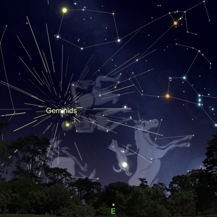 Graphic from Sky Safari app showing the eastern horizon with the constellation of Gemini and the meteor showers radiant