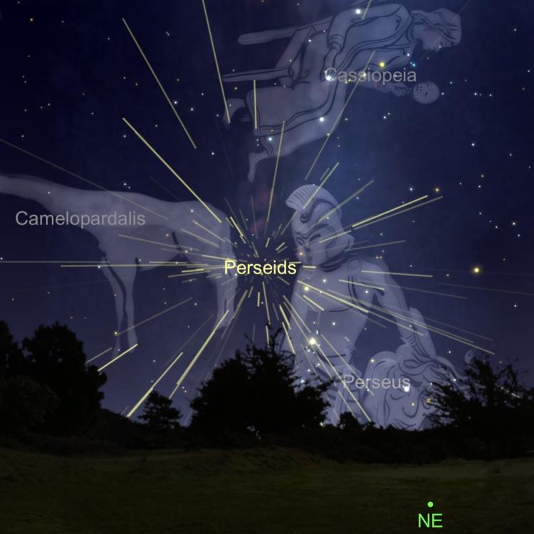 Graphic from Sky Safari app of the northeastern horizon with the constellation of Perseus rising and the meteor shower's radiant
