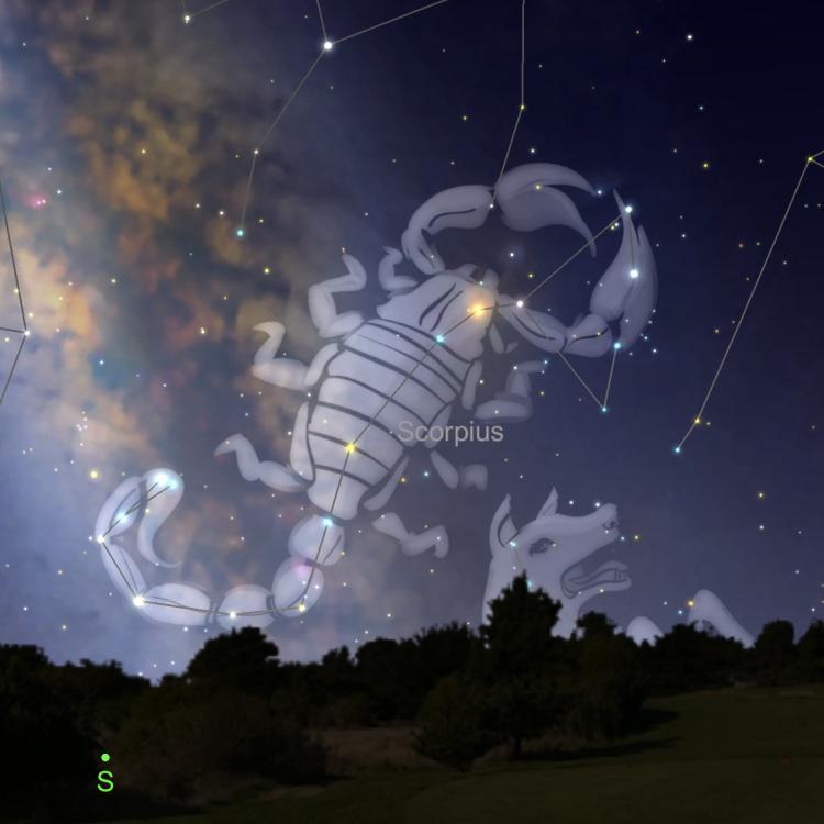 Graphic from Sky Safari showing the southern horizon with large constellation of Scorpius with the Milky Way