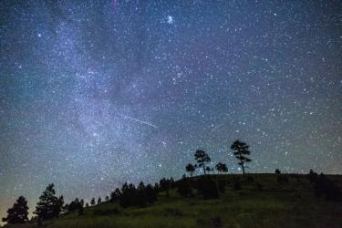 Photo of the night sky with grassy hill and trees and a meteor in the sky