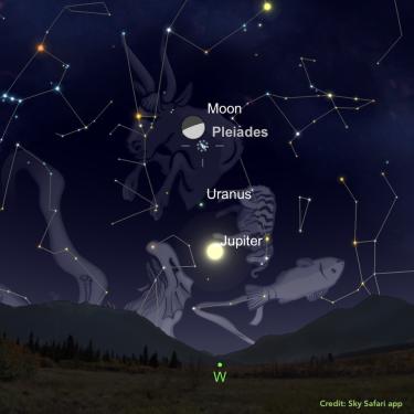 Graphic from Sky Safari app showing the western horizon with the Moon, Pleiades, Uranus and Jupiter in a line