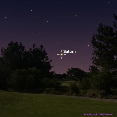 Graphic from Sky Safari app showing the horizon with trees and yellowish Saturn rising against a star-filled sky