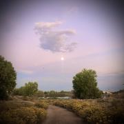 Photo of a full moon rising above a pond with sunset sky and yellow leaves and trees