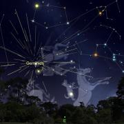 Graphic from Sky Safari app showing the eastern horizon with the constellation of Gemini and the meteor showers radiant