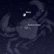 Graphic from Sky Safari showing the constellation cancer with the first quarter moon by the beehive open cluster