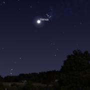 Graphic from Stellarium showing the southwestern horizon with trees and Venus and the Pleiades cluster 