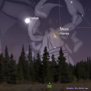Graphic from Sky Safari app showing the southeastern horizon with the constellation of Scorpius and the waning crescent Moon covering up Antares, Venus is also visible to upper left.