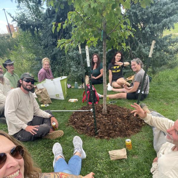 tree planters