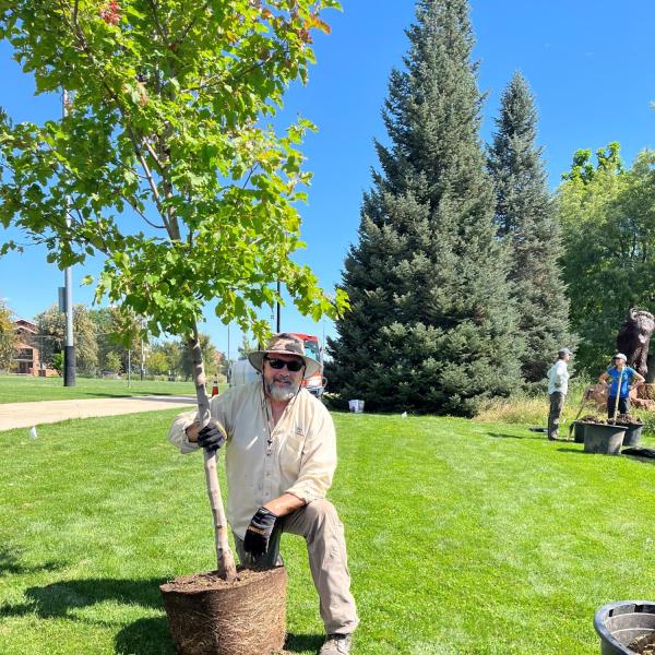 tree planters - vince