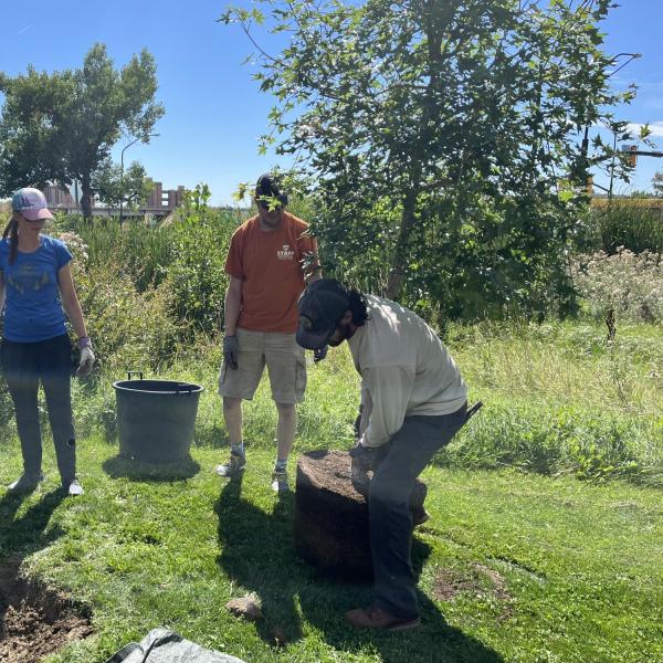tree planters - eric
