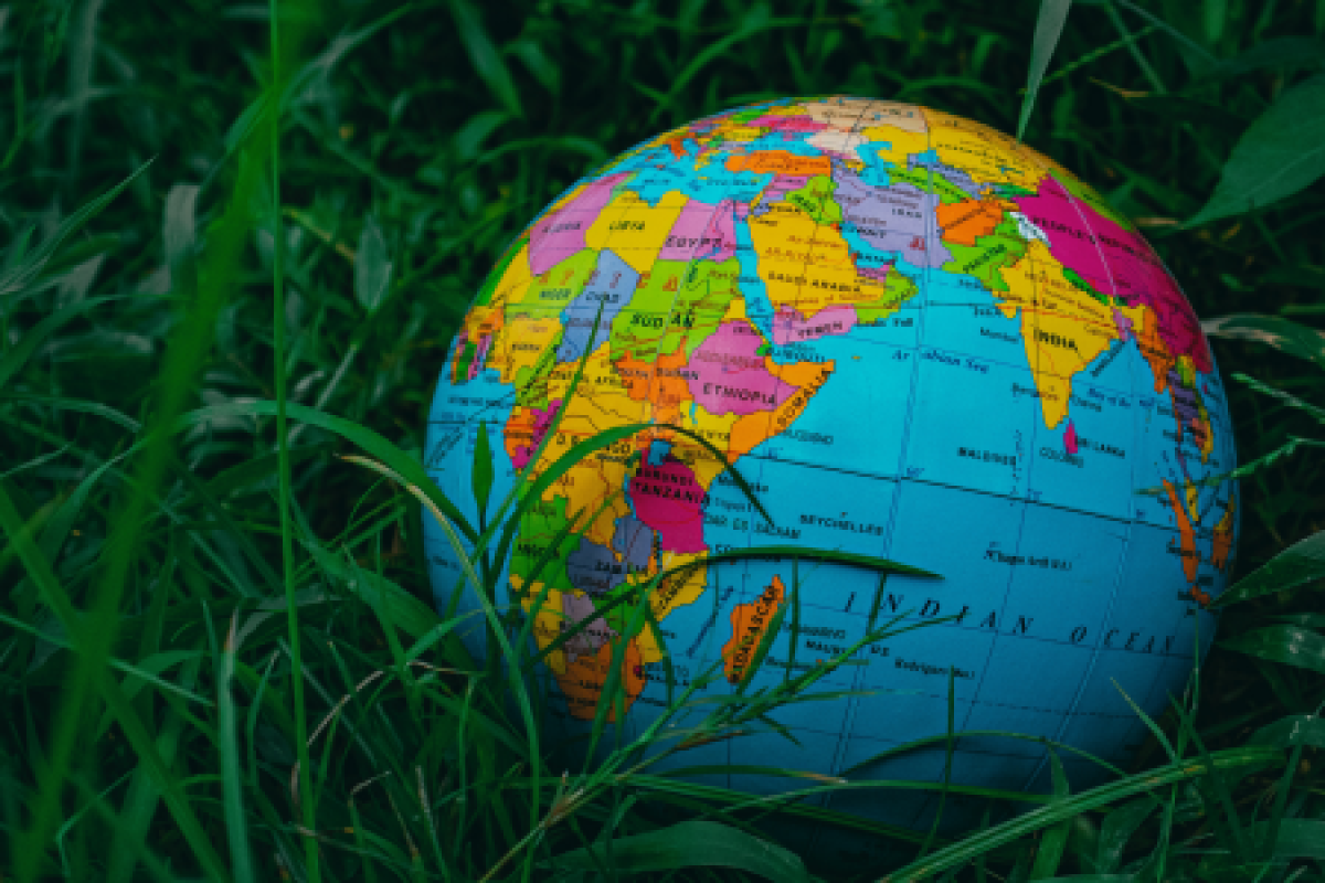 globe in grass