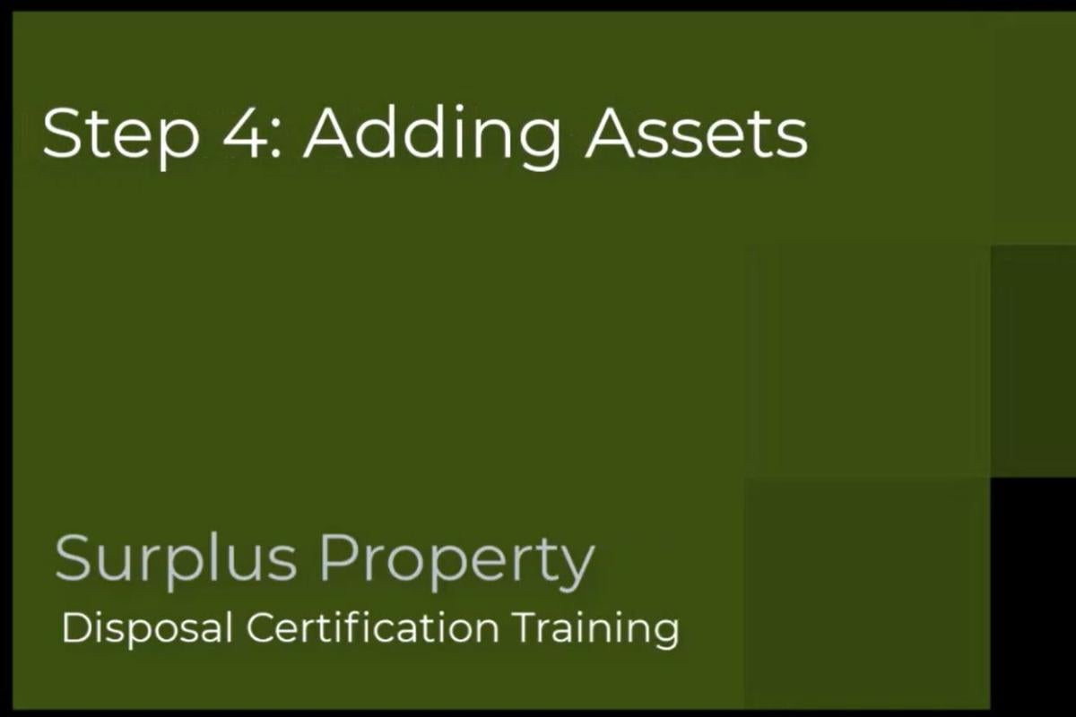 Adding Assets To Your Transfer Video