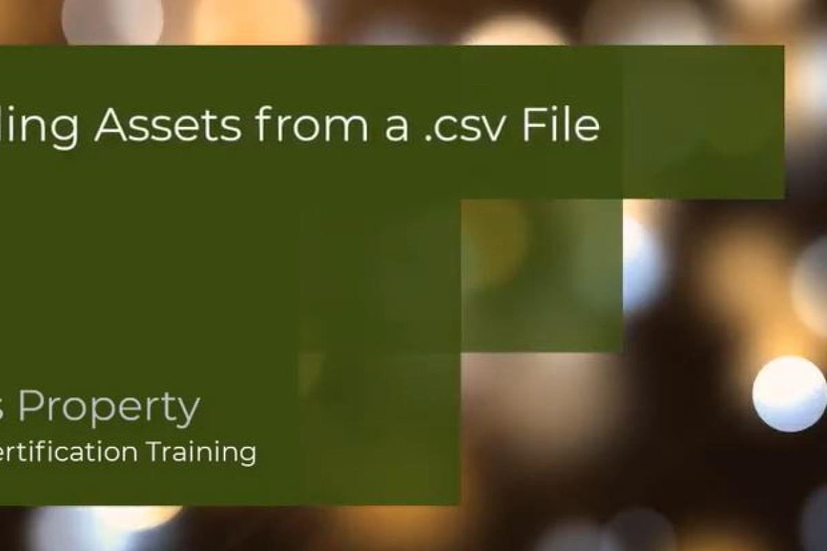 Uploading Assets from a csv File