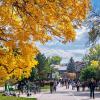 fall scenery on the CU Boulder campus