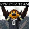 Join our team