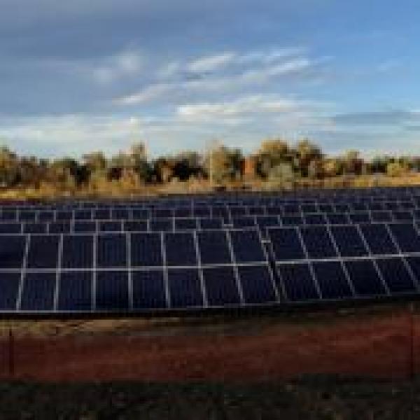 Solar array at Research Park Solar Farm