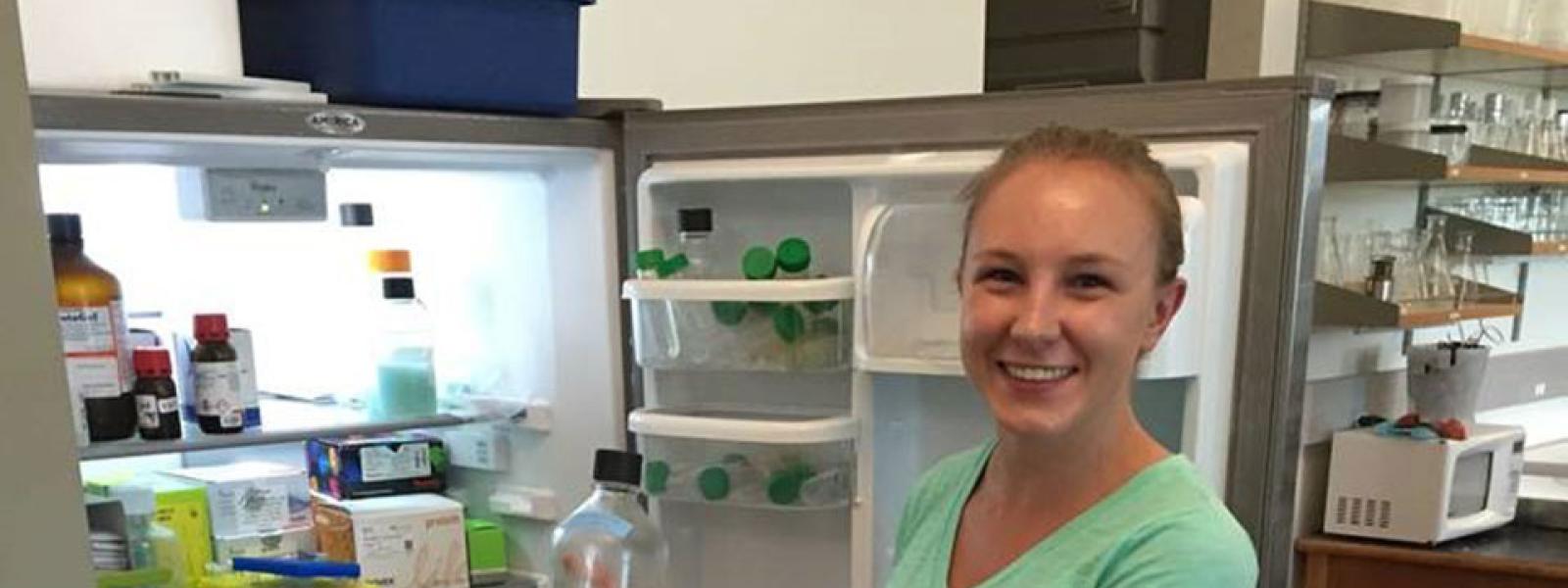 Freezerless refrigerator