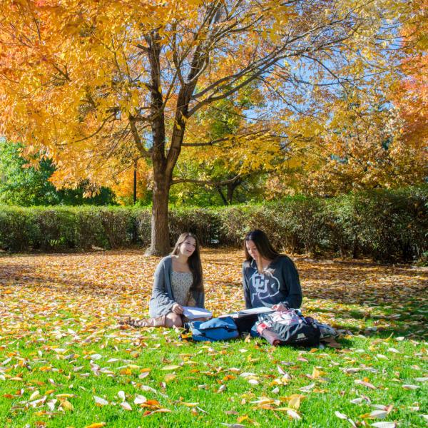 Two students sitting in the fall leaves studying