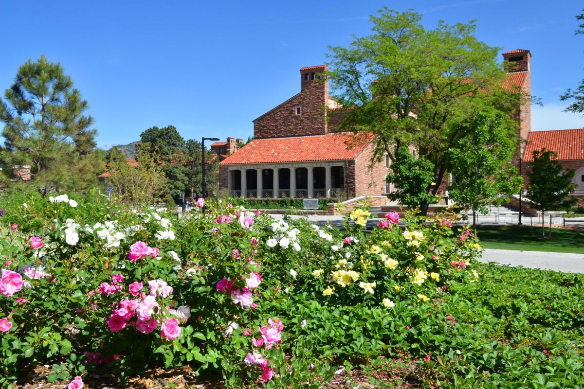 umc flowers