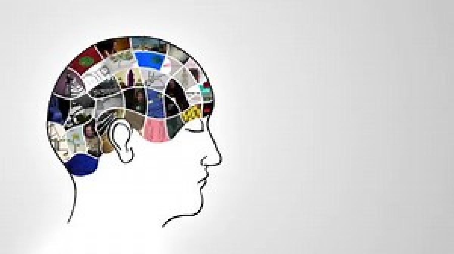picture of a brain map