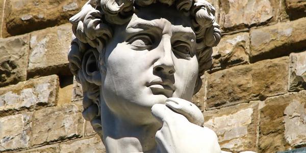 Statue of David - Michaelangelo