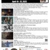Film Festival poster