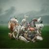 animal poster