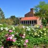 umc flowers