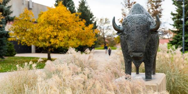 buffalo statue