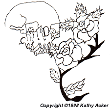  roses illustraton - Theories of Materiality and Location - Copyright (c) 1998 Kathy Acker