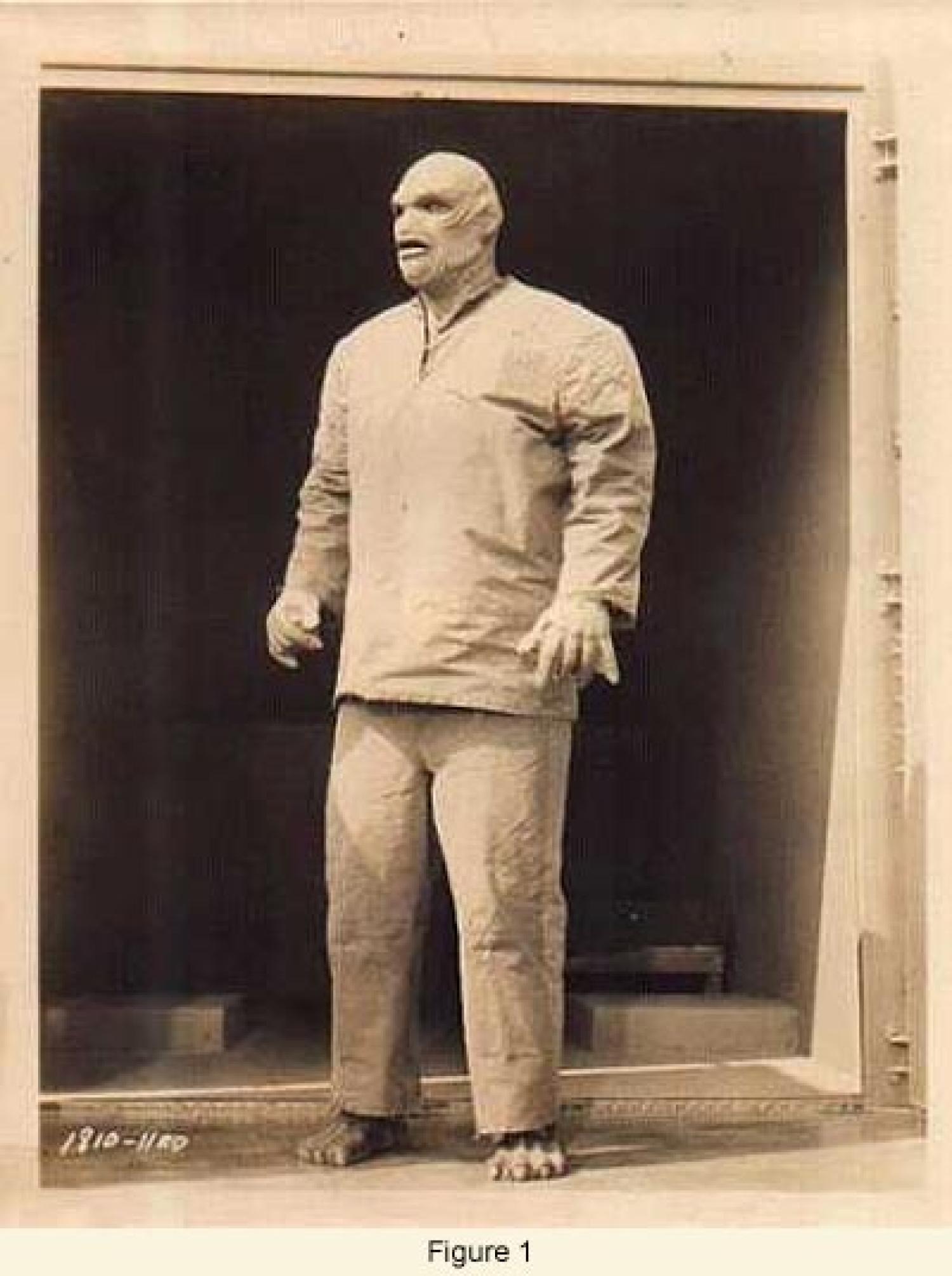 Figure 1: Movie monster - "The Creature"