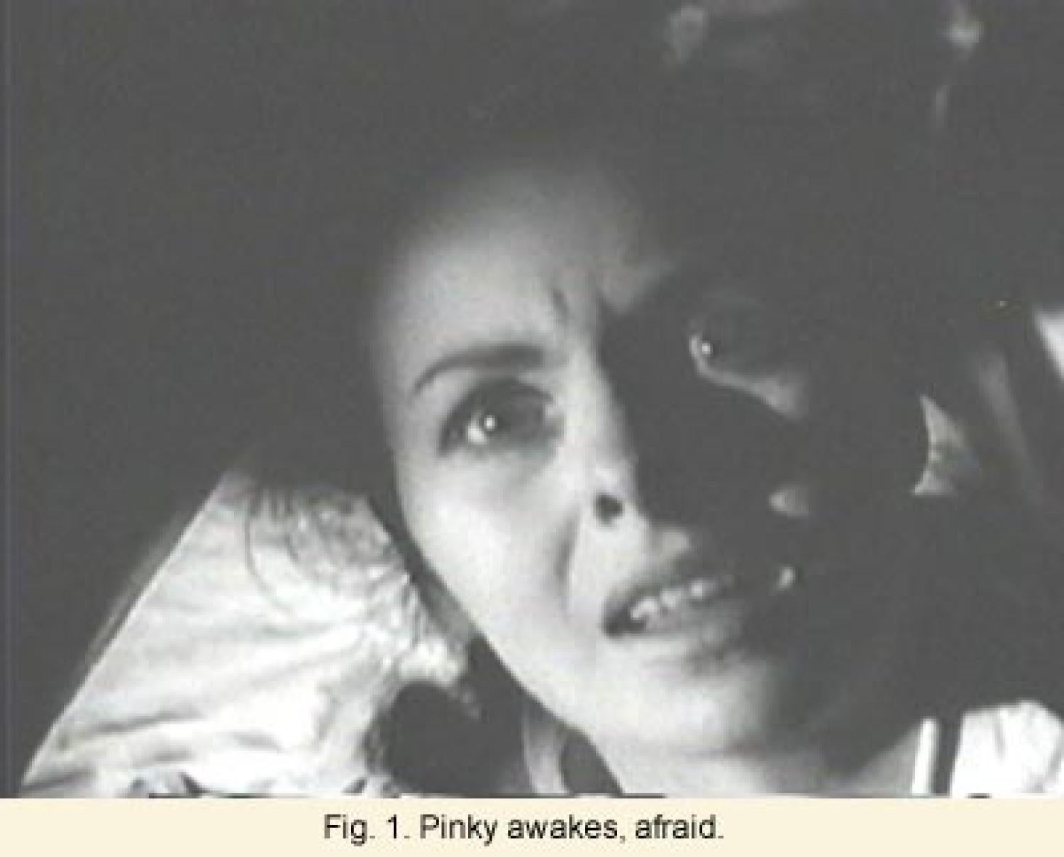 Figure 1: Pinky awakes, afraid